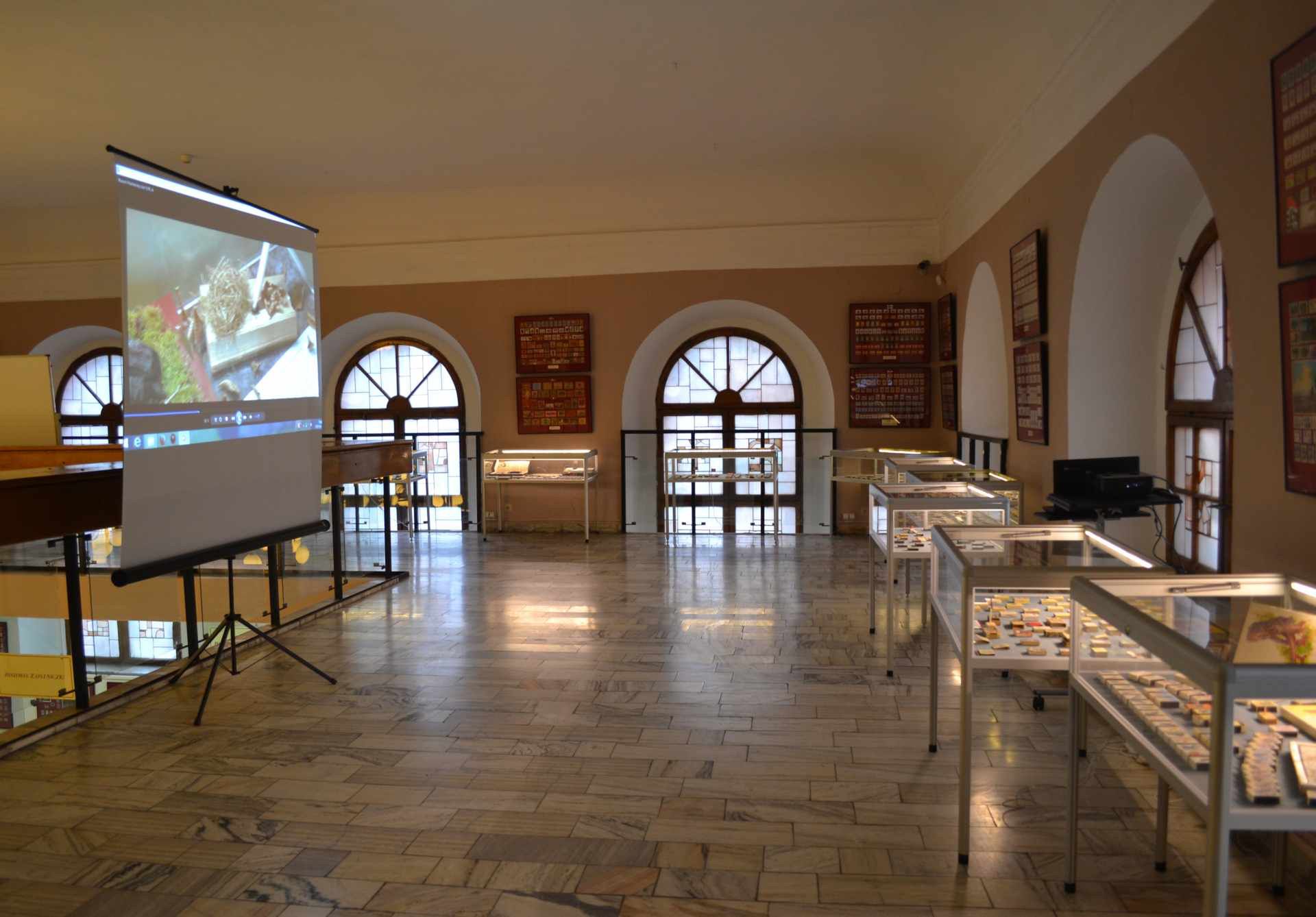 Muzeum Filumenistyczne w Bystrzycy Kłodzkiej 