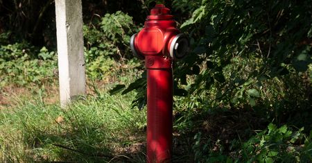 Płonął ich dom. Obok stał niedziałający hydrant