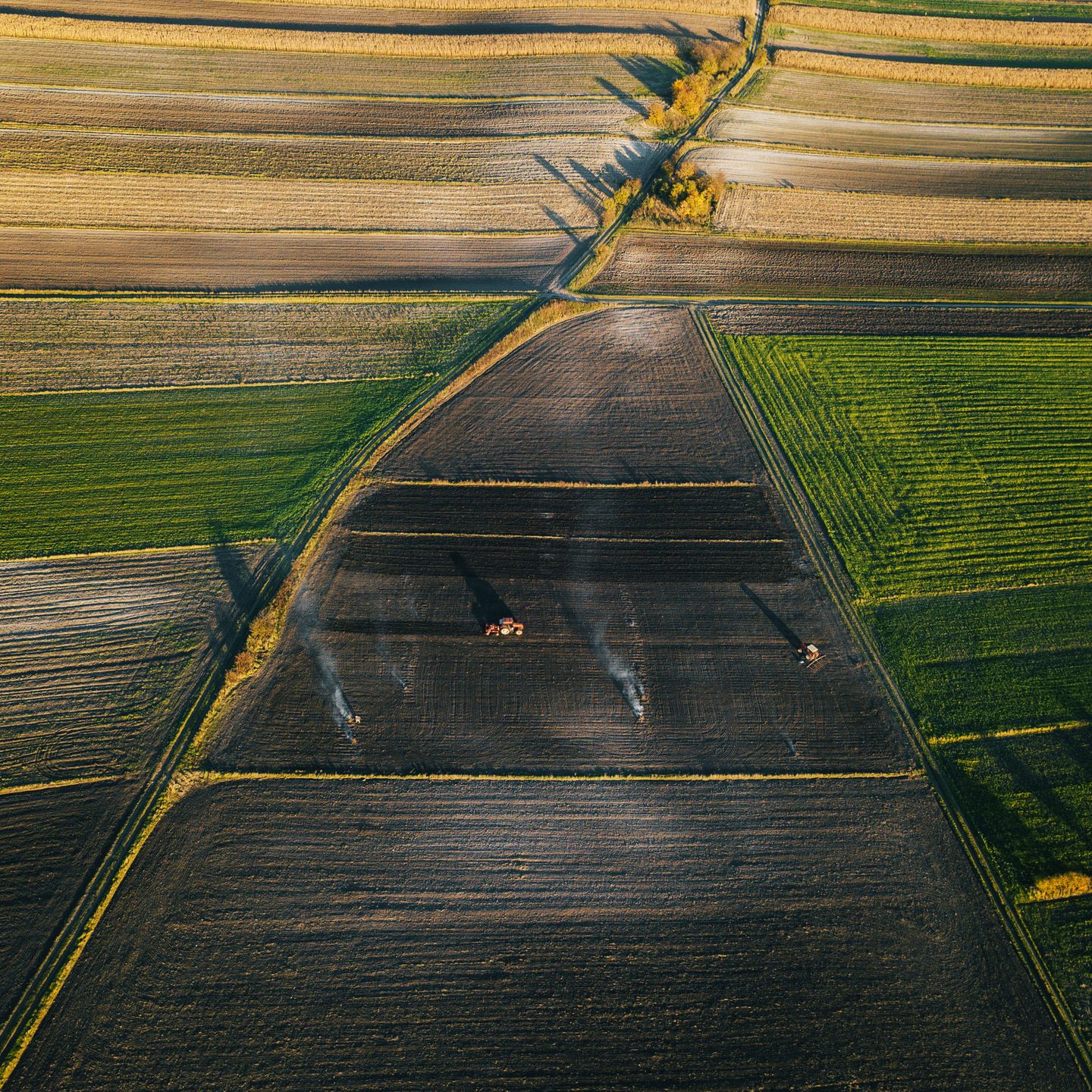Szukał odskoczni, więc wzbił się w powietrze - fotografia lotnicza Patryka Morzonka 8