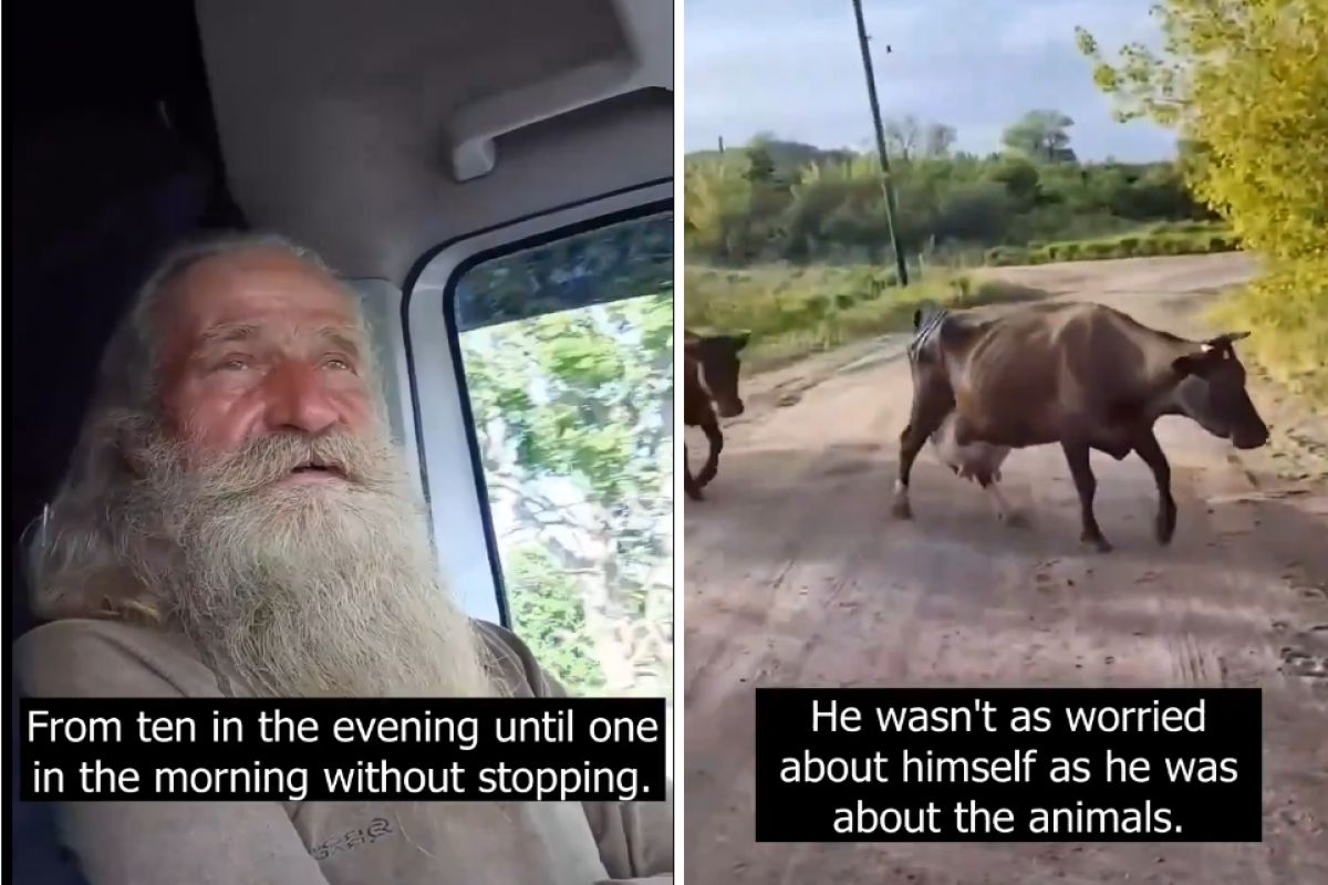 Este hombre de 70 años llevaba mucho tiempo huyendo de los rusos.  No dejó atrás a sus animales favoritos