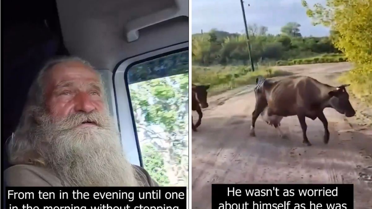 70-latek uciekał przed Rosjanami. Zabrał ze sobą zwierzęta