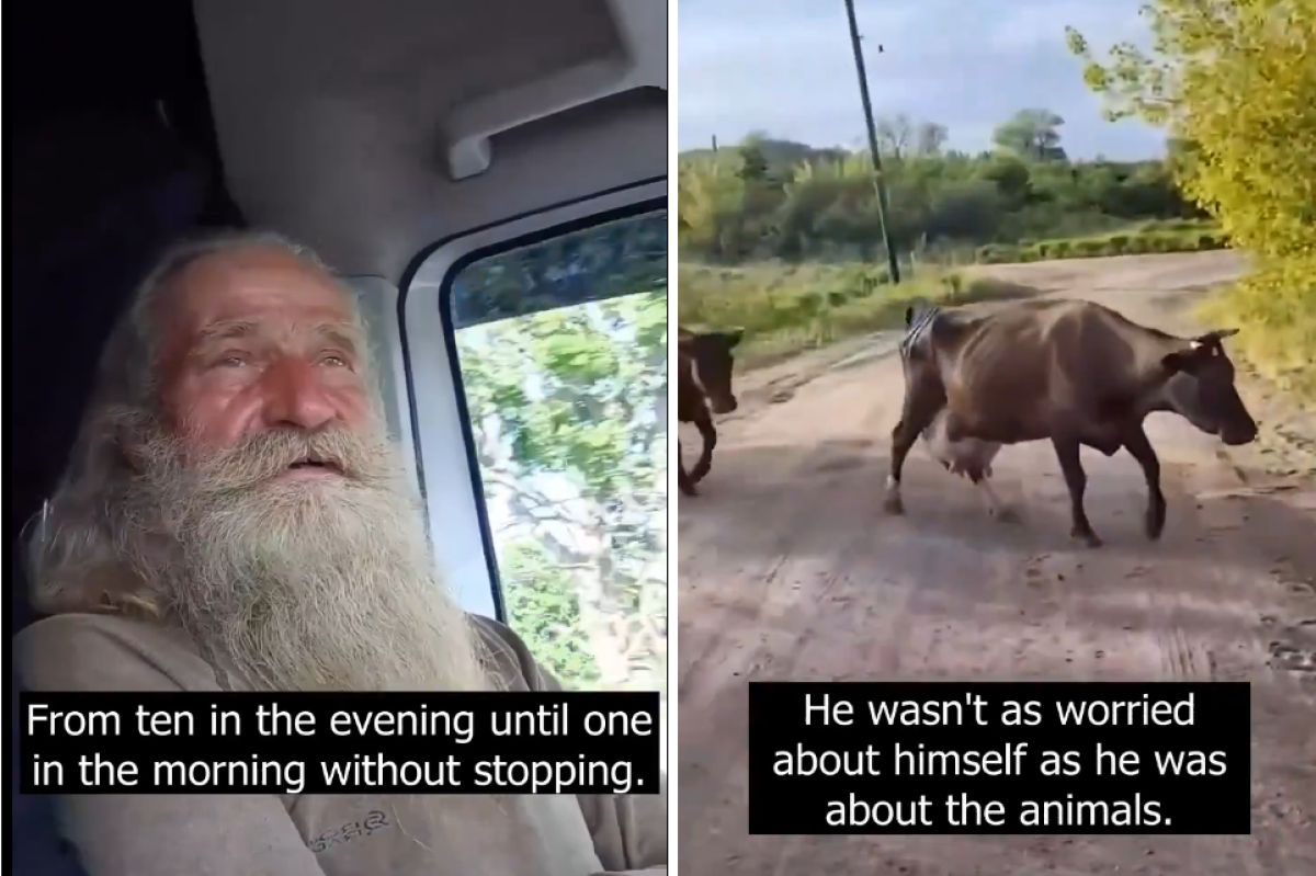Man escapes war-torn Ukraine with cows and dog in tow