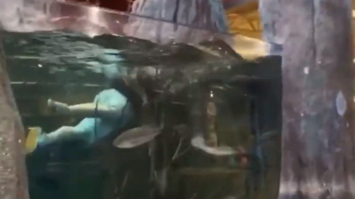 Klient wskoczył do akwarium w sklepie wędkarskim