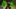 Onslaught - FPS z co-opem na WiiWare?