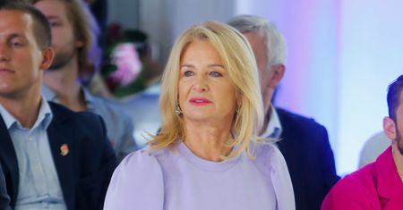 Straciła ciążę podczas koncertu. Na drugi dzień wróciła do pracy
