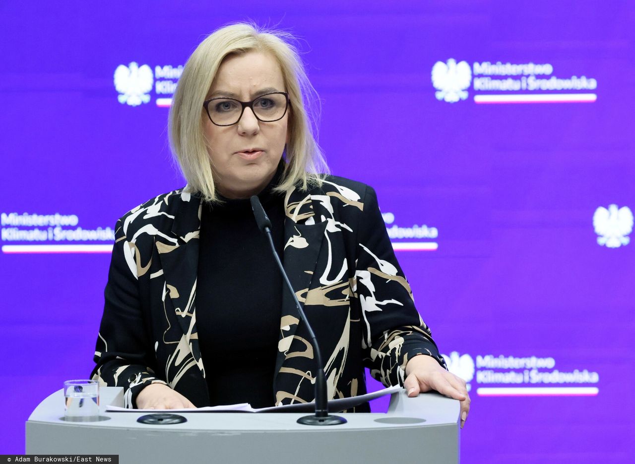 Problemy z "Czystym Powietrzem". Ministra odpowiada