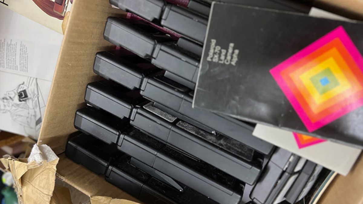 To naprawdę rzadki okaz dla miłośników fotografowania