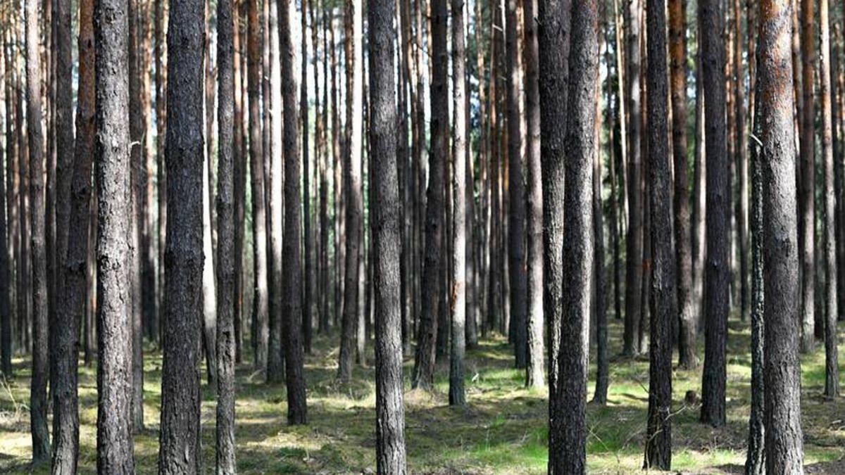 Zdjęcie ilustracyjne