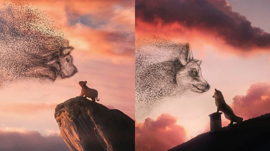 Król Lew czy Król Lis? Poznaj surrealizm w czystej postaci 1