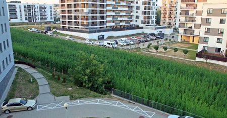 Właściciele plantacji konopi między blokami na Węglinie zapraszają na żniwa. Na każdego czeka niespodzianka