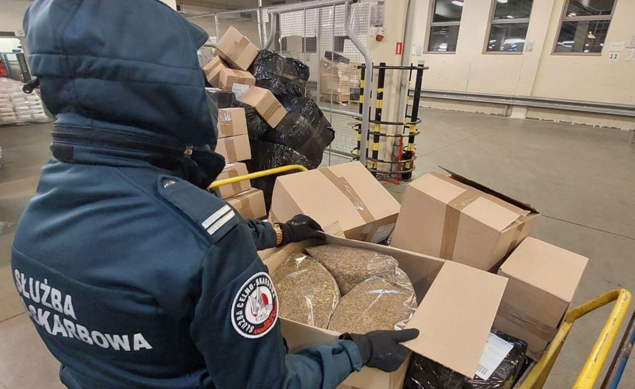 Gorzów: KAS odkryła 420 kg nielegalnego tytoniu w paczkach