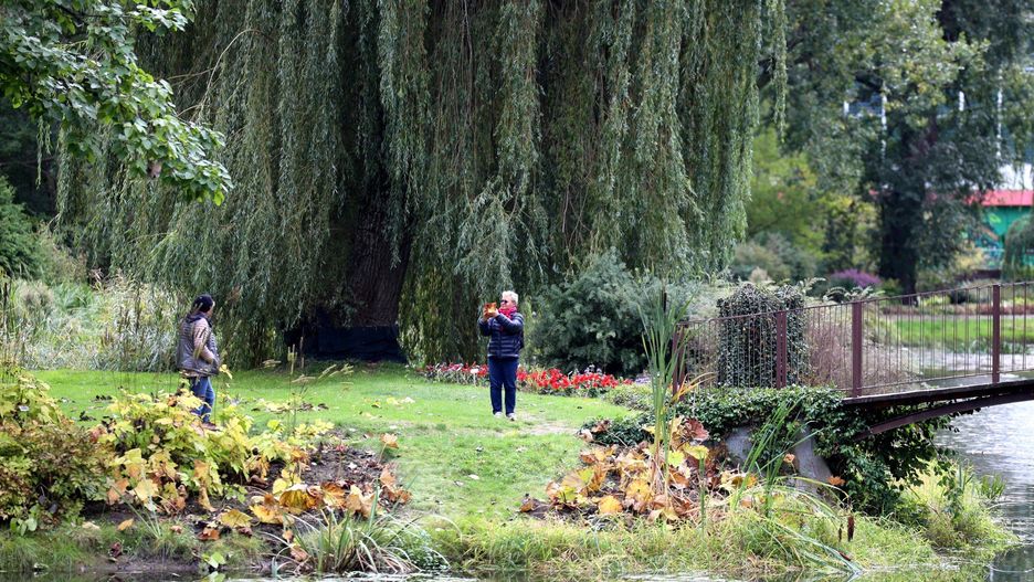 Jesie w ogrodzie botanicznym to nie tylko uczta dla oczu, ale i chwila wytchnienia, szczególnie w weekend. Feeria kolorów przycigaa zarówno mioników fotografii, jak i tych, którzy po prostu chcieli nacieszy si jeszcze wielobarwn natur.