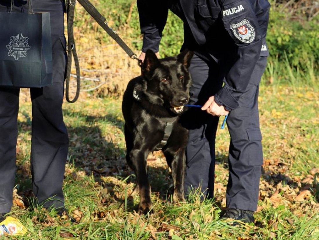 Radom. Pies nagrodzony przez Komendanta Wojewódzkiego Policji