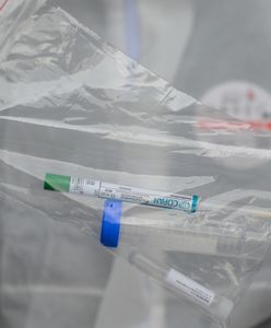 Koronawirus. Sosnowiec. W 12 próbkach wykryto aż pięć wariantów