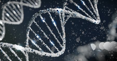 Rekordowo stare DNA na Antarktydzie. Naukowcy zachwyceni odkryciem