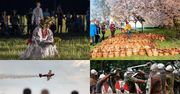 Najciekawsze wydarzenia w 2025 r. w Wielkopolsce. Sprawdź kalendarz imprez. Znów będą jarmarki, parady i pokazy