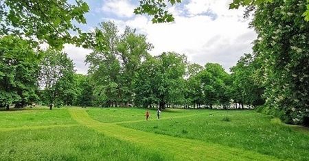 Wrocław. Jak wygląda koszenie trawników? Miasto wyjaśnia zasady