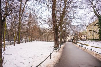 Kiedy zima zawita w Polsce? Synoptycy wskazują konkretną datę