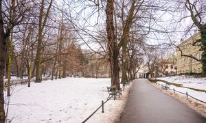 Kiedy zima zawita w Polsce? Synoptycy wskazują konkretną datę