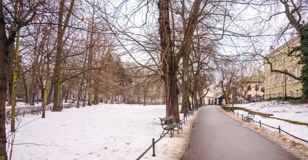 Kiedy zima zawita w Polsce? Synoptycy wskazują konkretną datę