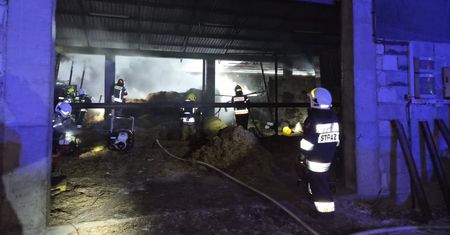 Topola: Pożar budynku inwentarskiego. Z ogniem walczyło 48 strażaków
