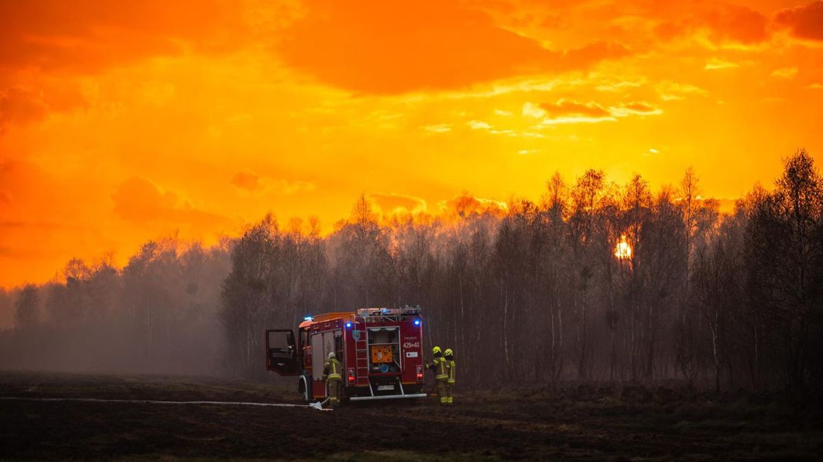 Pożar nad Biebrzą. Policja zbiera dowody