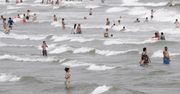 Toksyczne algi na hiszpańskich plażach. Mogą powodować problemy zdrowotne
