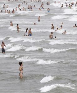 Toksyczne algi na hiszpańskich plażach. Mogą powodować problemy zdrowotne