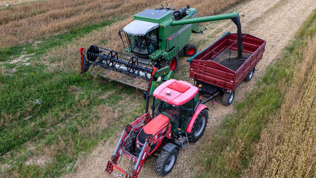 zbi�r rzepaku
Darek Delmanowicz
ci�gnik, kombajn, rolnictwo, rzepak, rzepaku, traktor, uprawa, uprawy, zbi�r, �niwa, Podkarpacie, pola uprawne, pole uprawne, pole, prace polowe