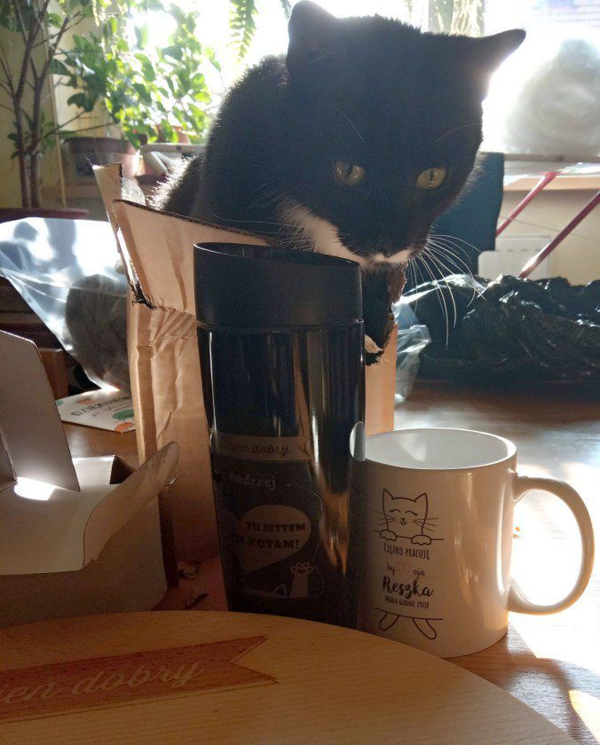 Lucky pomaga w rozpakowywaniu.