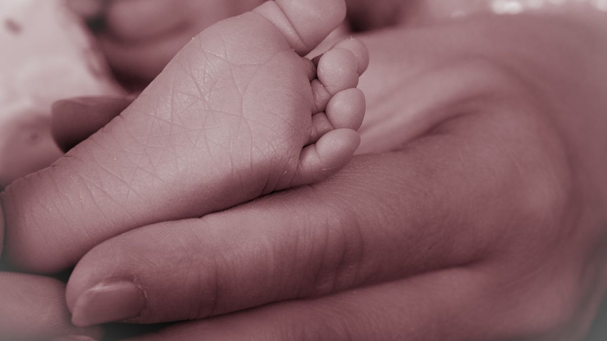 Poznań. Mama pięcioraczków bardzo się o nie troszczy