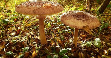 Nie rób tego pod żadnym pozorem. Kary sięgają 5 tysięcy zł