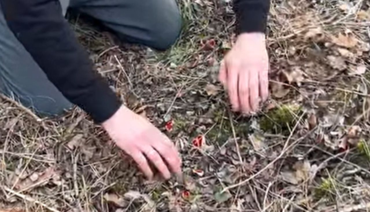 Myśleli, że to tylko liście. Ale finał. Aż pokazał nagranie