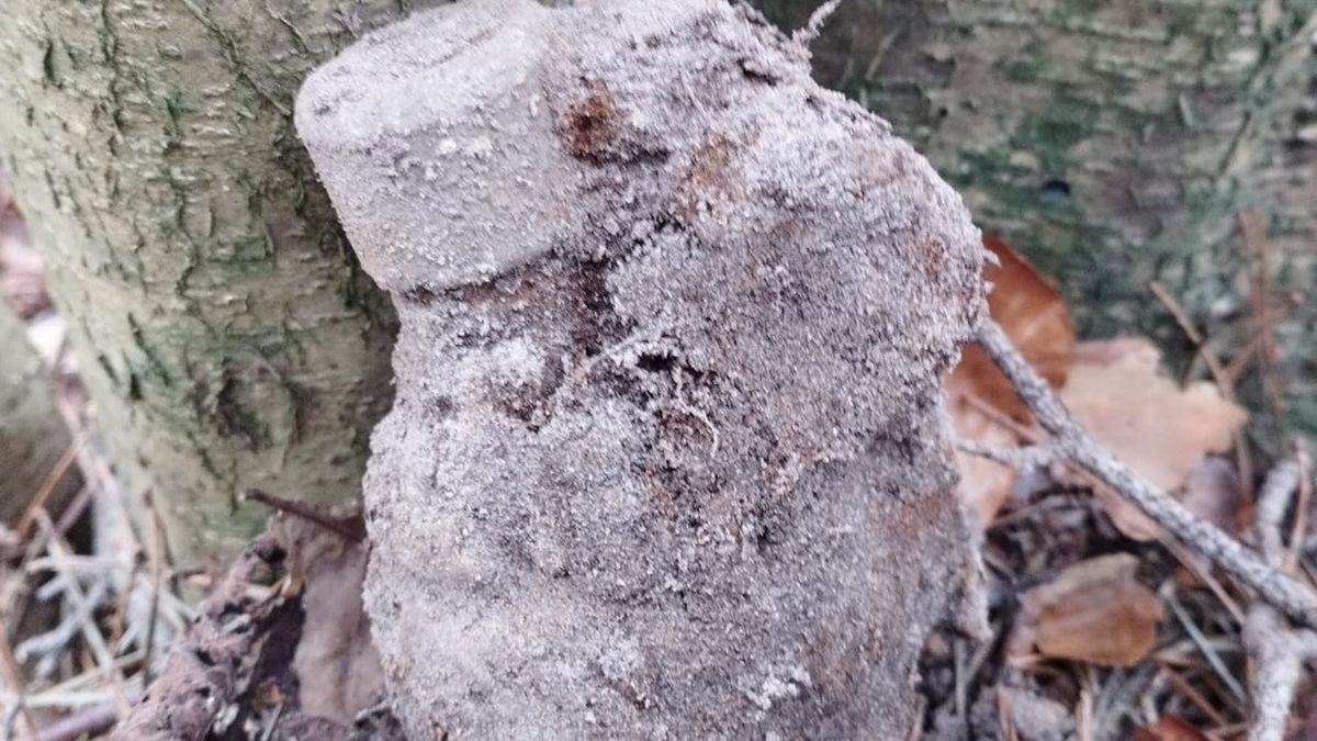 Spacerowicz znalazł niewybuch