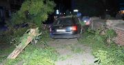 Chełm: Pijany kierowca Audi zrobił demolkę, pasażer ranny