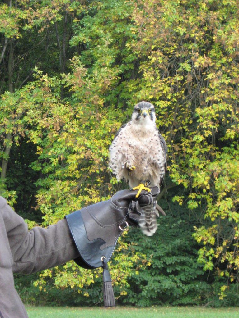 Śląski Ogród Zoologiczny w Chorzowie