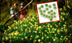 Nowa prognoza długoterminowa. Wiadomo, jaka pogoda w kwietniu