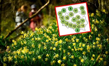 Nowa prognoza długoterminowa. Wiadomo, jaka pogoda w kwietniu