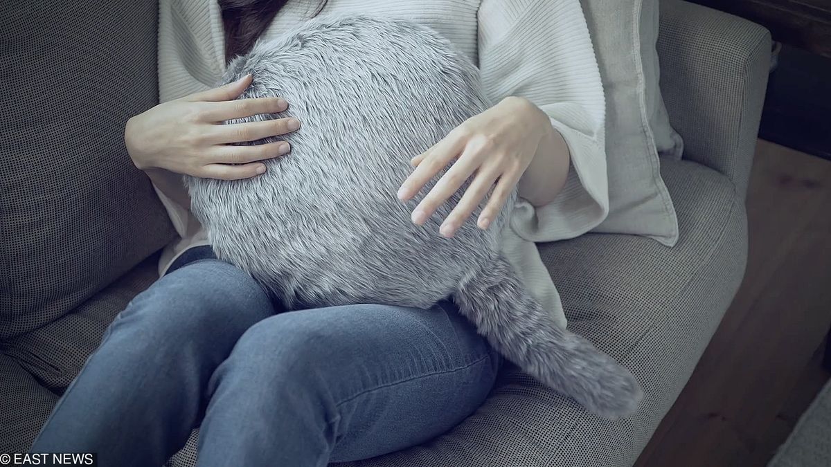 Bezgłowa, zrobotyzowana poduszka z ogonem skradnie twoje serce 1