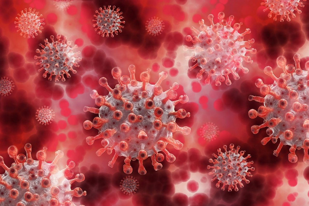 Koronawirus. Oczyszczacz powietrza zmniejsza ryzyko infekcji? Eksperci wyjaśniają - Koronawirus wymyka się spod kontroli. 