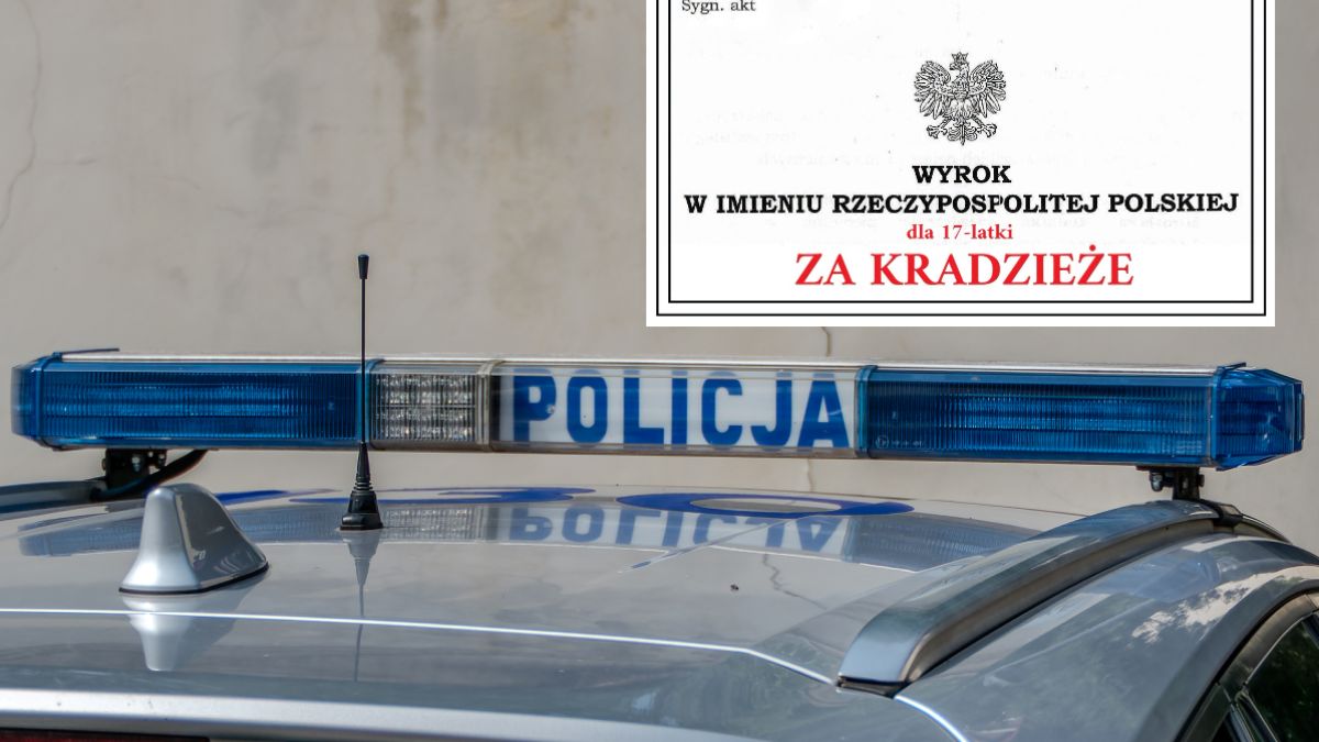 Wyrok dla 17-latki za drobne kradzieże