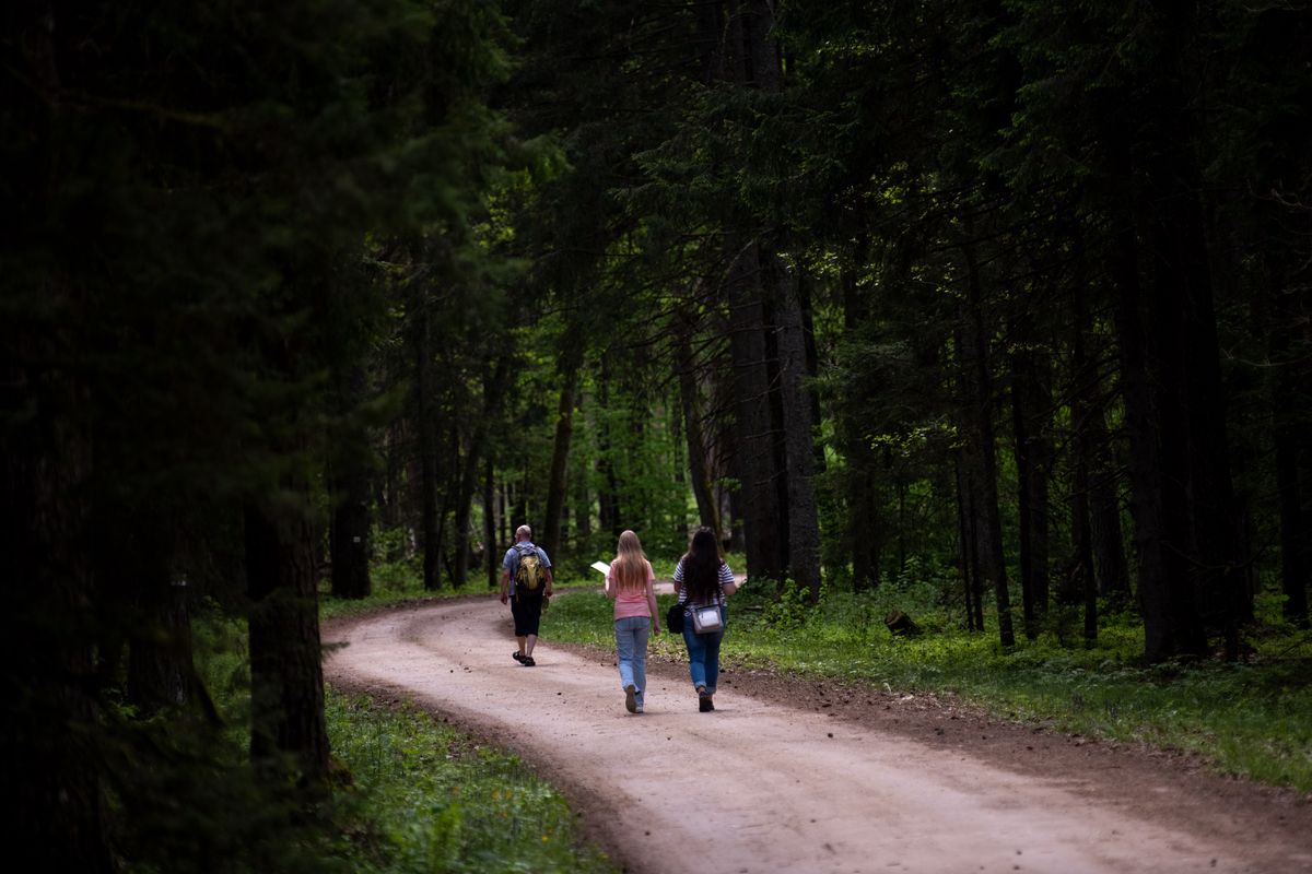 podlasie, mswia, żubry, kryzys migracyjny, turystyka Klęska w regionie. Nie pomogły odwiedziny ministra. Ten sezon stracony