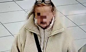 Obrzydliwy wybryk w galerii. Seniorka sama zgłosiła się na policję