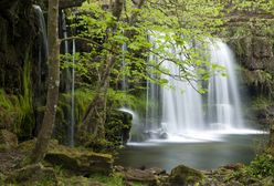 Wybory w Brazylii szansą na uratowanie Amazonii. A jej istnienie jest kluczowe dla nas wszystkich