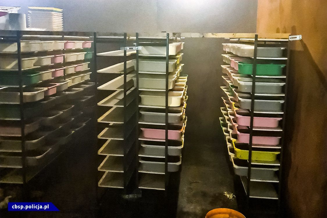 Służby zlikwidowały jedną z największych fabryk narkotyków w Polsce