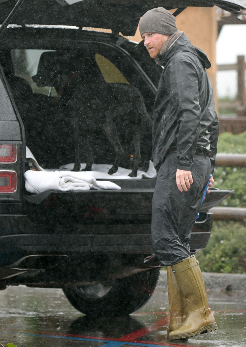 Książę Harry spaceruje z psem w deszczu