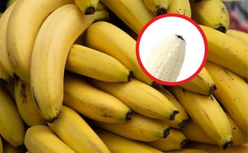 Czarna końcówka banana. Czy trzeba odcinać? Wielu się myli