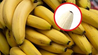 Czym właściwie jest czarna końcówka od banana? Nie musisz jej odcinać