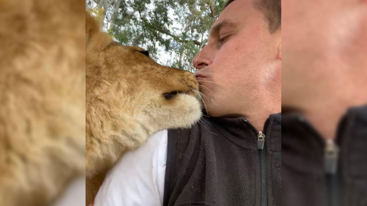 Jak wygląda życie opiekuna w zoo? Te zdjęcia pokazują miłość do zwierząt 1