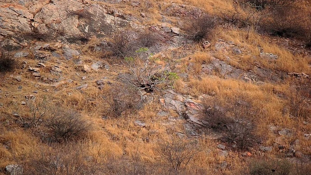 Test na sposrzegawczość (Fot. Abhinav Gupta)